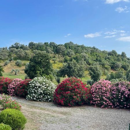 Tenuta Montemassi Podere Montauzzo Buitenkant foto