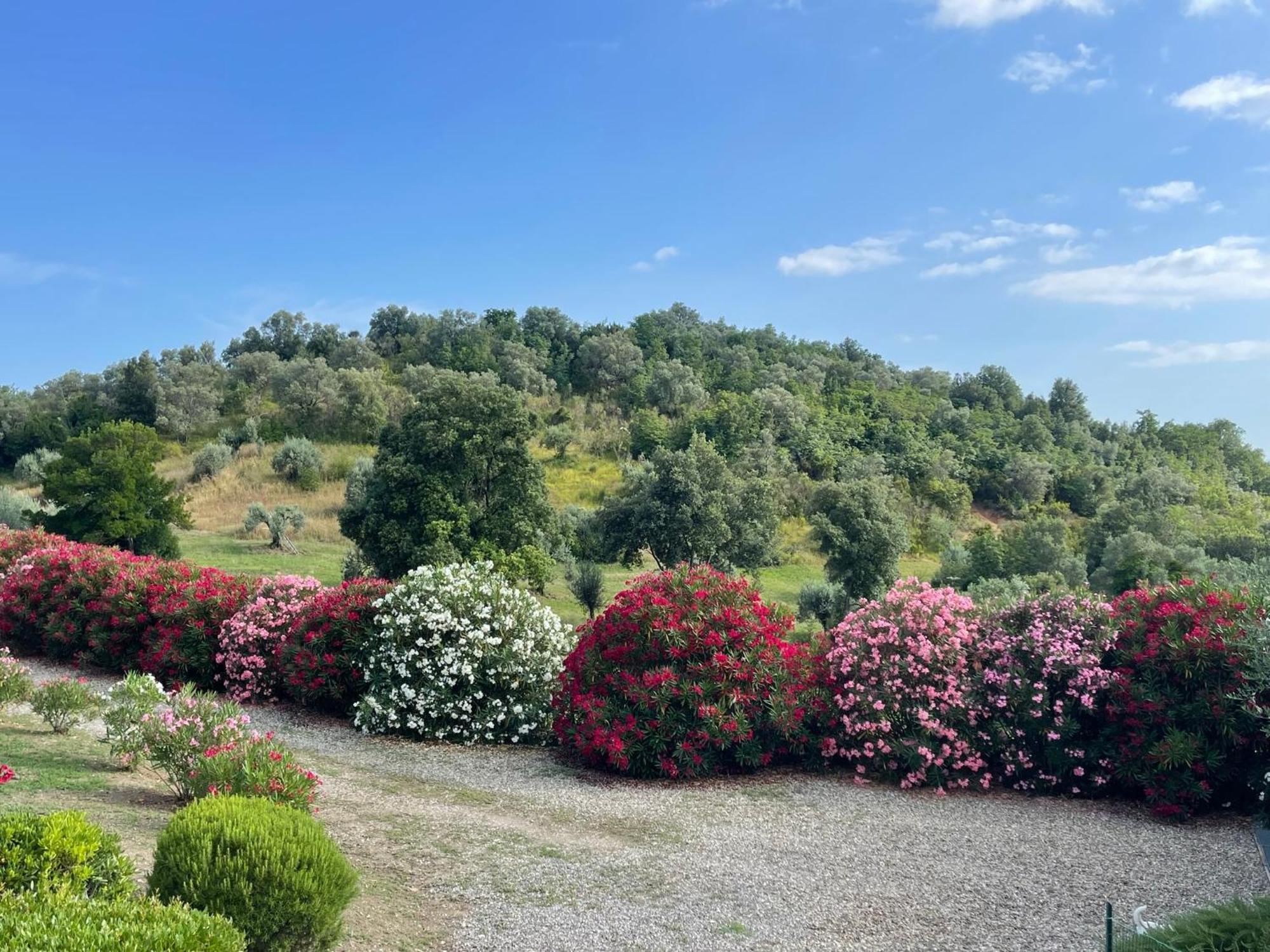 Tenuta Montemassi Podere Montauzzo Buitenkant foto